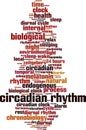 Circadian rhythm word cloud