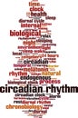 Circadian rhythm word cloud Royalty Free Stock Photo