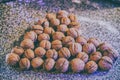Circassian walnut from the heart Royalty Free Stock Photo