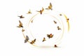 Circle of birds flying around circle of gold lines on white background. Generative AI Royalty Free Stock Photo