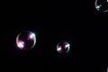 Circle soap bubbles on a dark background, soft focus