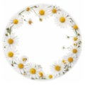 Circle chamomile frame. Illustration AI Generative