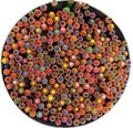 Circle of colorful wooden crayons Royalty Free Stock Photo