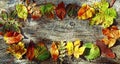 A circle of colourful autumn leaves on a wooden background Royalty Free Stock Photo