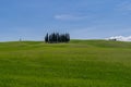 Famous Circle of Cypress trees in Tuscany