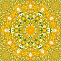Rotate circle dandelion and camomile kaleidoscope spring picture effect tile sun