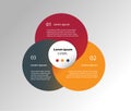 Circle design elements for business Multicolor infographics. Vector template with 3 steps