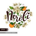 Circle filled bitter orange flowers, buds, fruits with lettering neroli. Detailed hand-drawn sketches, vector botanical