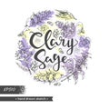 Circle filled Clary sage twigs with leaves and flowers and lettering clary sage . Detailed hand-drawn sketches, vector botanical