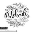 Circle filled Patchoulis inflorescences and flowers with lettering Patchouli. Detailed hand-drawn sketches, vector botanical