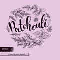 Circle filled Patchoulis inflorescences and flowers with lettering Patchouli. Detailed hand-drawn sketches, vector botanical