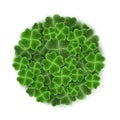 Circle filled with Realistic Clover leaves for St. Patricks Day holiday. Shamrock grass symbol. Lucky flower for Irish
