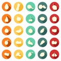 Circle Flat Style with Shading Fruit - Complete Icon Collection