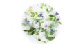 A circle flowers frozen in ice and herbs Royalty Free Stock Photo