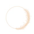 Circle frame with dry pampas grass. Wreath of beige cortaderia in boho style. Vector dried flowers isolated on white