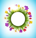 Circle frame with grass flowers and sunlight. Floral nature back Royalty Free Stock Photo