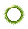 Circle frame with grass and sunlight. Floral nature background Royalty Free Stock Photo