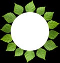 Circle frame of leaf