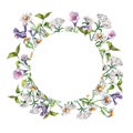 Circle frame of meadow medicinal flower, lungwort herb plants watercolor illustration isolated on white. Chamomile