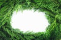 Circle frame with pine tree branches isolated on white background. Christmas and New year decoration Royalty Free Stock Photo
