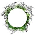 Circle frame with sketch of plants with watercolor splashes. Vector template for labels. Mint, stevia and basil. Outline medicine