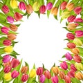 Circle frame with tulips red and yellow flowers isolated on white background