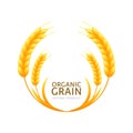Circle frame of wheat or rye grain. Vector logo or label design. Royalty Free Stock Photo