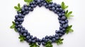 a circle of fresh blueberries and green leaves on a white background