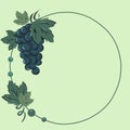 Color set of vine branches and grapes on a circle.