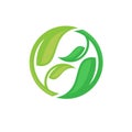 Circle green leaf ecology nature vector logo Royalty Free Stock Photo