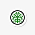 Circle green tree with leaves logo sticker Royalty Free Stock Photo