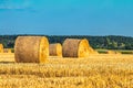 Circle of hay in the field, forest on the horizon