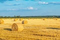 Circle of hay in the field, forest on the horizon