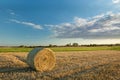 Circle of hay on stubble field, clouds and blue sky Royalty Free Stock Photo