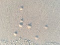 Circle and hole pattern in sand beach texture, Crab nest, Abstract background concept