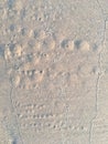 Circle and hole pattern in sand beach texture, Crab nest, Abstract background concept