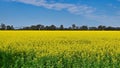 Circle Irrigator in a Field of Canola Near Mulwala