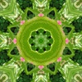 Circle kaleidoscopic synthetic Art background, complex geometry