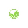 Circle mockup eco logo, green leafs of plant, organic creative icon