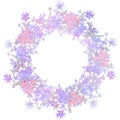 Circle pattern with chicory. Round kaleidoscope of flowers and floral elements