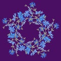 Circle pattern with chicory. Round kaleidoscope of flowers and floral elements