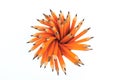 Circle of Pencils - Pencil Holder - Image Royalty Free Stock Photo