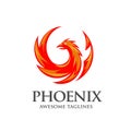 Circle phoenix bird logo