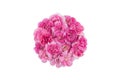 Circle pink carnation flowers