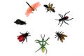 A circle of plastic bugs / insects