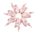 Circle from raw plucked quails isolated on white Royalty Free Stock Photo