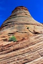 Red rock textures, Zion National Park, Utah Royalty Free Stock Photo