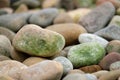 Circle rocks with green spores. Royalty Free Stock Photo