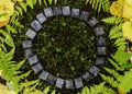 A circle of 24 Scandinavian runes on the background of moss and leaves in the autumn forest