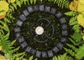 A circle of 24 Scandinavian runes on the background of moss and leaves in the autumn forest. In the center of the circle
